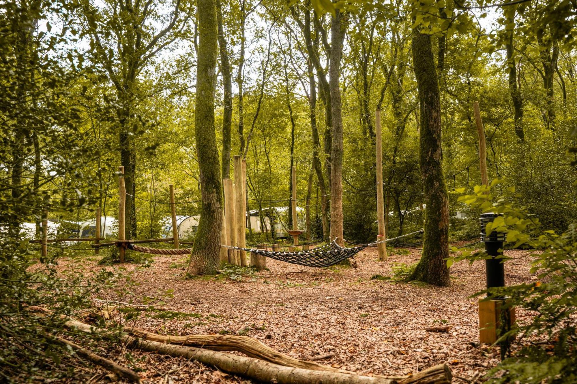 Het Sterrenbos * Zuidwolde (Drenthe)