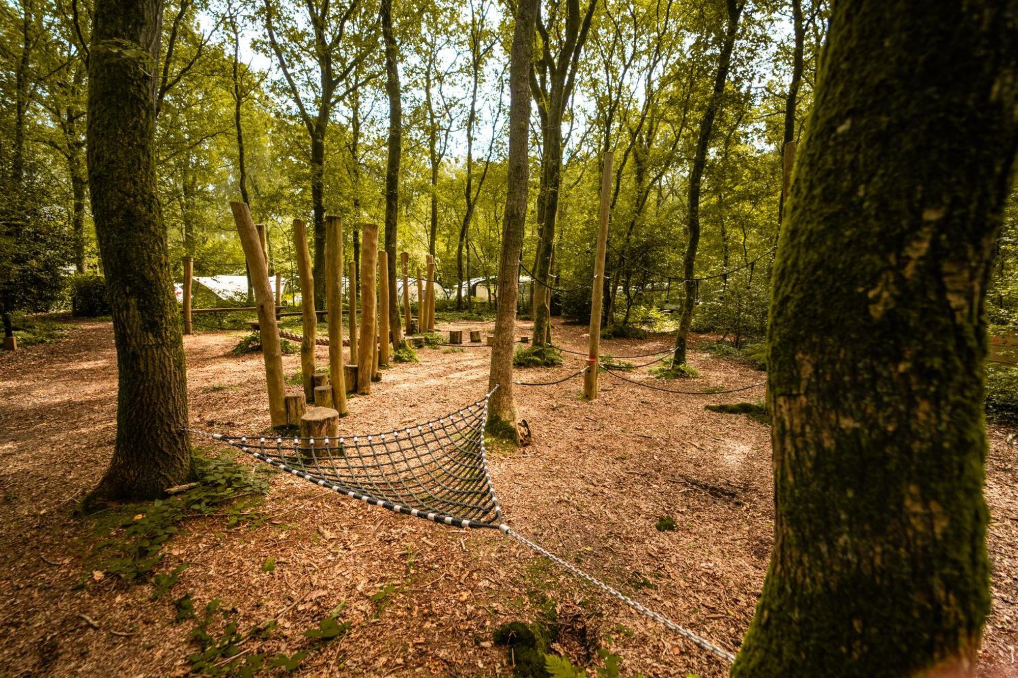 Het Sterrenbos Campsite Zuidwolde (Drenthe)
